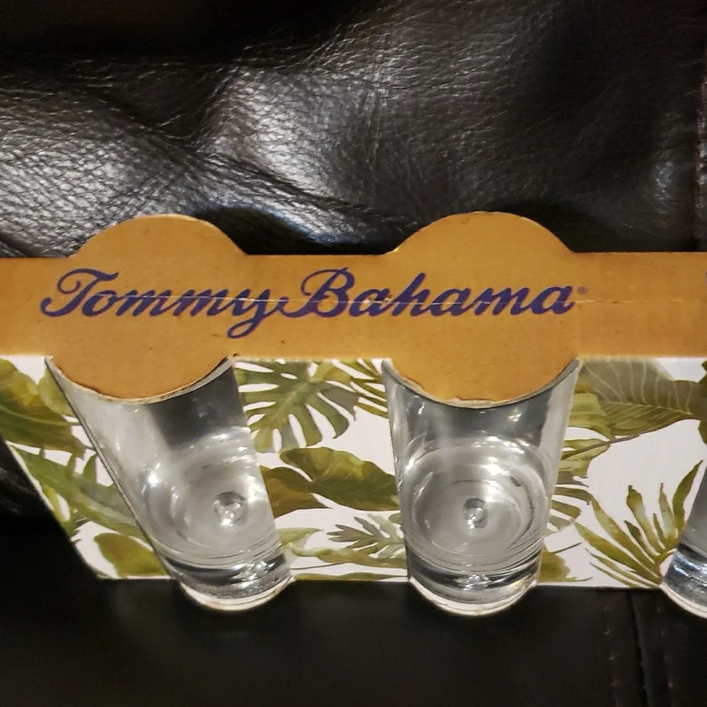 Tommy Bahama Clear Shot Glass Set - Picture 3 of 4
